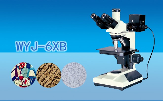 三目正置金相91视频下载入口WYJ-6XB